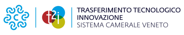T2i